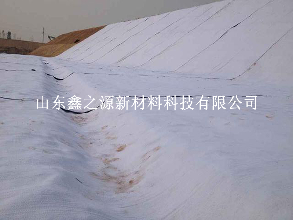 守護(hù)養(yǎng)殖基業(yè)，揭秘防滲膜防老化新策略
